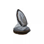 - Premium Medium Agate Coasters