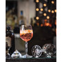 Alkemist 6 Piece Stemmed Goblet Set