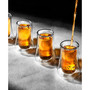 Cosmos Double Wall Shot Glasses, Set of 4