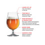 Beer Classics Tulip Glasses, Set of 4, 15.5 Oz