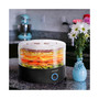 Brentwood 5 Tray Food Dehydrator in Black with Auto Shut Off
