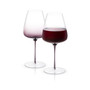 Black Swan Red Wine Glasses Set of 2
