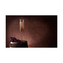 Claire Champagne Glasses, Set of 2