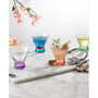 Kolor Martini Glasses, Set of 6