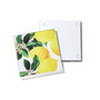 4 X 4" Meyer Lemons Glass Coasters Set, 4 Piece