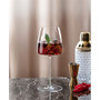 Metro Chic Red Wine Glass Set, 2 Piece