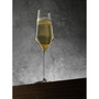 Layla Champagne Glasses, Set of 4