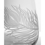 Peacock White Wine 12Oz - Set Of 4 Glasses