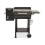 Wood Pellet Grill & Smoker