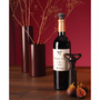 Wine Saver Concerto Pump with 2 Stoppers