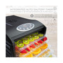 6 Plastic Tray Food Dehydrator for Snacks, Jerky, and More