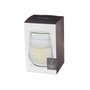Glacier Double Walled Chilling Wine Glass