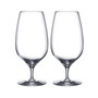 Craft Brew 2 Piece Stemmed Beer Glass, 20 oz