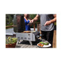 Professional Portable Gas Grill