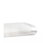Plaza Twin Silk Blanket With 100% Silk Border