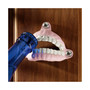 False Teeth Bottle Opener, Set of 3