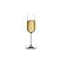 Mirage Champagne Glass, Set of 2