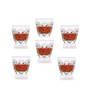 Enigma Collection Double Old Fashion Set of 6