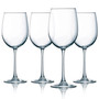 Cachet Tulip Wine Glass - Set of 4