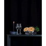 Carat Champagne Glass Set, 2 Pieces