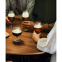 Craft Brew 2 Piece IPA Glass Set, 16 oz