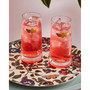 Creatures of Curiosity Highball Glasses Set, 2 Pieces