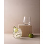 Line Gin and Tonic Glass