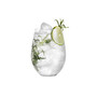 Line Gin and Tonic Glass