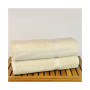 Luxury Hotel Spa Towel Turkish Bath Sheets, Set of 2
