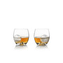 Glacier Rocks Ice Ball Mold and Tumbler Set, 4 Piece