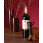 Wine Saver Concerto Pump with 4 Stoppers