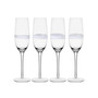 Organic Band 8-oz Flutes 4-Piece Set