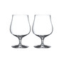 Craft Brew 2 Piece Snifter Glass Set, 16.5 oz