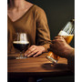 Craft Brew 2 Piece Snifter Glass Set, 16.5 oz