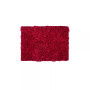 Bellflower Bath Rug 17" x 24"