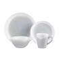 Oasis 16 PC Dinnerware Set