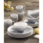 Oasis 16 PC Dinnerware Set