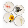 Colorwave Floral Set of 4 Appetizer Plates