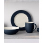 Colorwave  Rim 4 Piece Place Setting