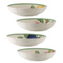 French Garden Modern Fruit Set/4 Pasta Bowl