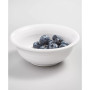 9 oz. Fruit/Salsa Bowl