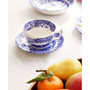 Blue Italian 5-Piece Place Setting