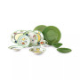 Dinnerware, French Garden Collection