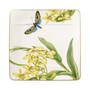 Amazonia Square Salad Plate