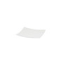 Extreme 10" Square Dinner Plate