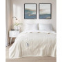 Electric Reversible Fleece to Sherpa Blanket, Twin