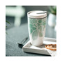Coffee to Go Succulent