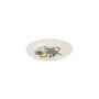 Botanic Garden  Harmony Amber 4 Piece Dinner Plate Set