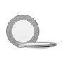 Infinity 4 Piece Dinner Plate Set, Service for 4
