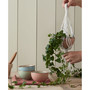 Heritage Set of 4 Rice Bowls, Service for 4